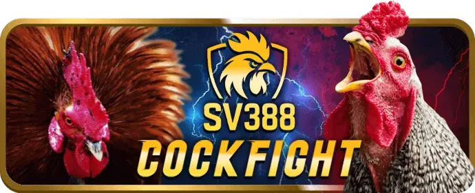 Hình ảnh đại diện cho quy trình giải quyết tranh chấp của 368bet code